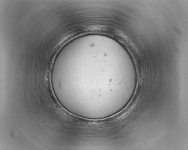 X0000115061017200911161604