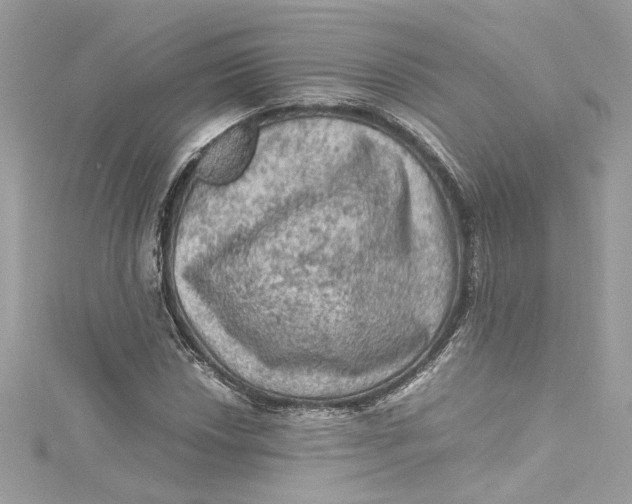 X0000115061018200911161604