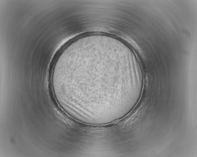 X0000115061020200911161604