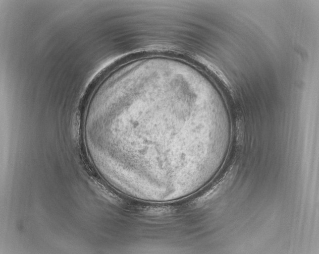 X0000115061021200911161604