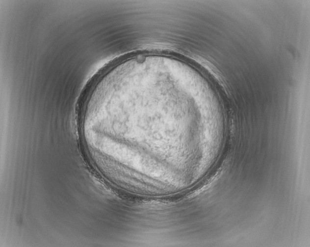 X0000115061022200911161604