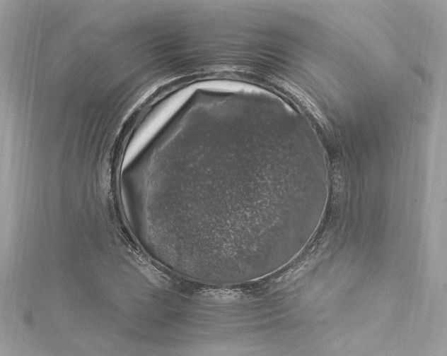 X0000115061023200911161604