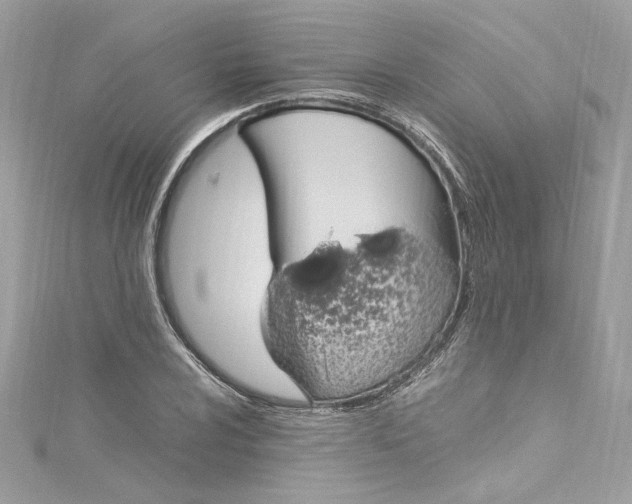 X0000115061024200911161604