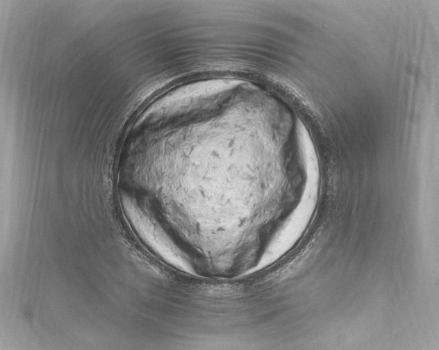 X0000115061025200911161604