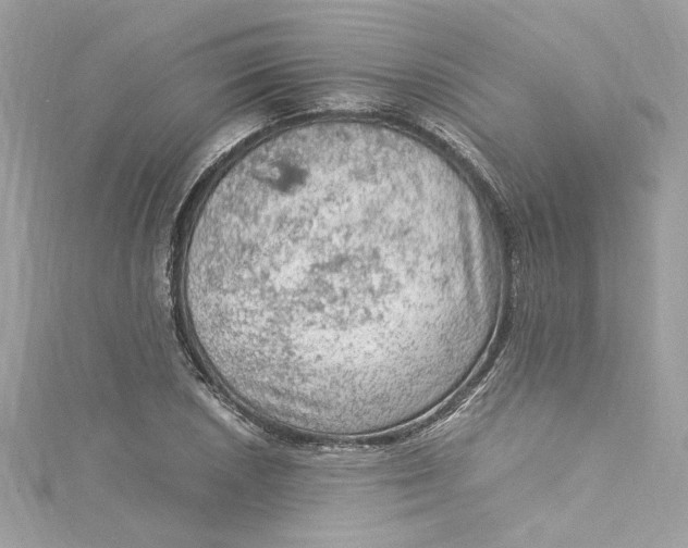 X0000115061026200911161604