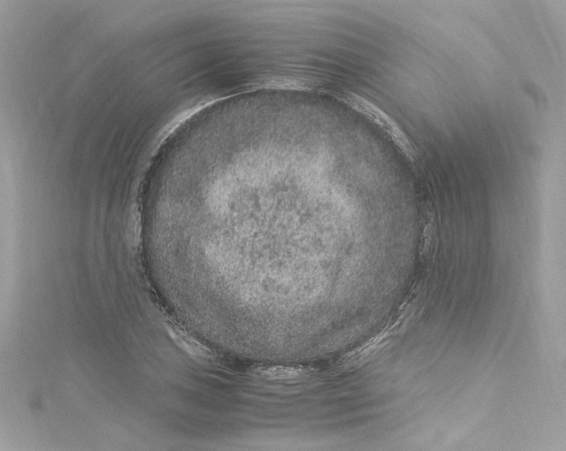 X0000115061027200911161604