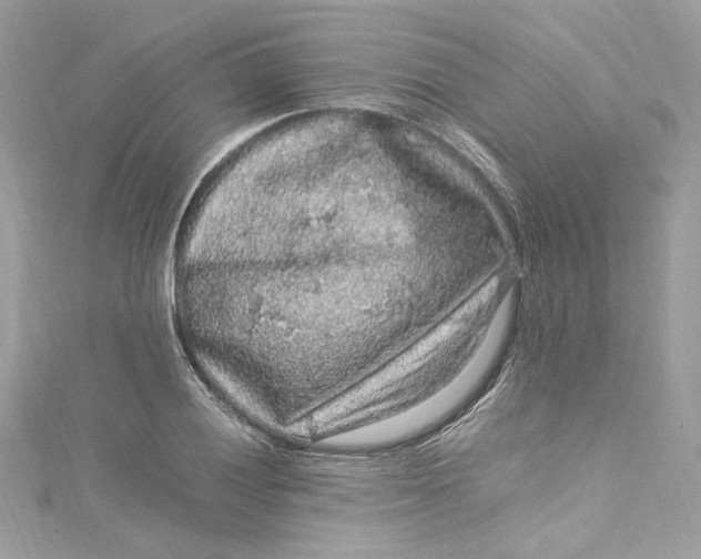 X0000115061028200911161604