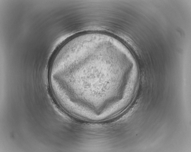 X0000115061030200911161604