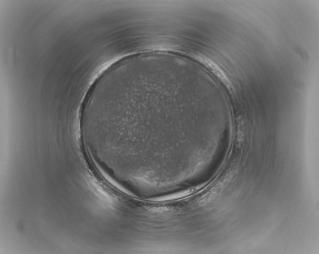 X0000115061031200911161604