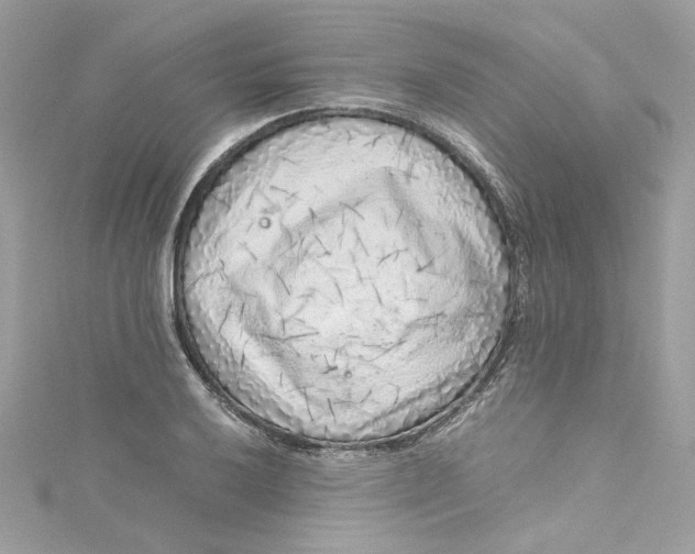 X0000115061032200911161604