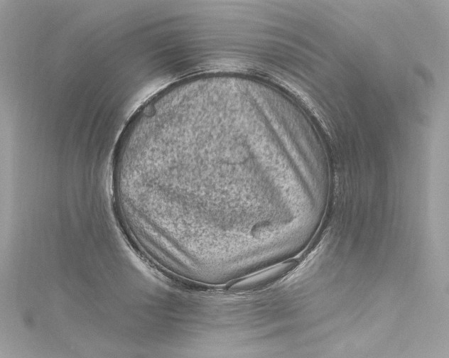 X0000115061034200911161604