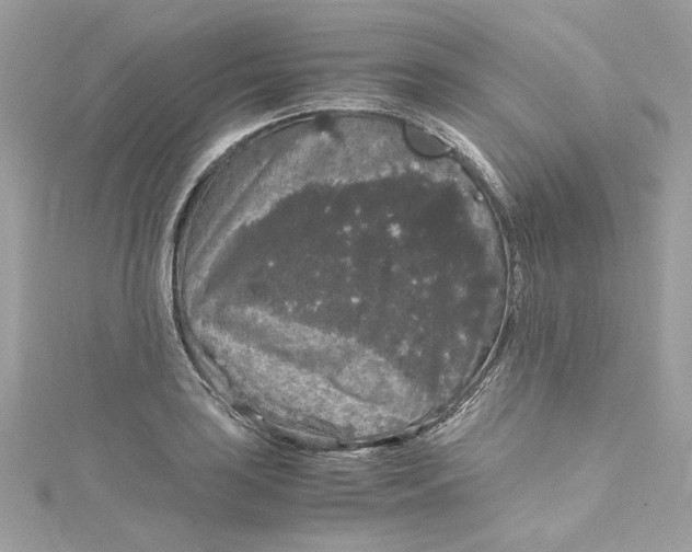 X0000115061035200911161604