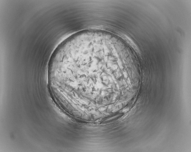 X0000115061036200911161604