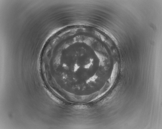 X0000115061037200911161604