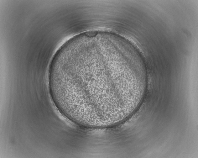 X0000115061038200911161604