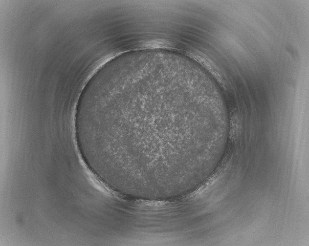 X0000115061039200911161604