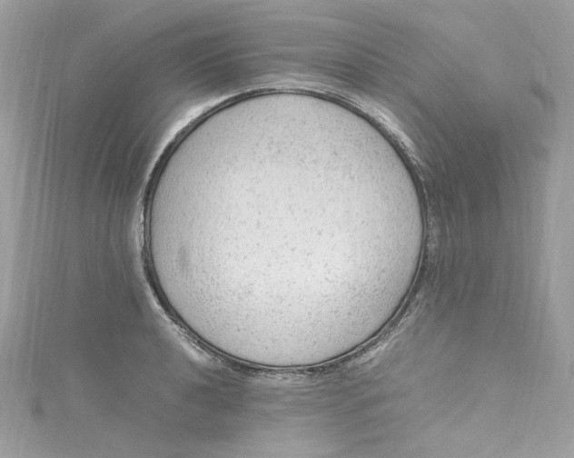 X0000115061040200911161604