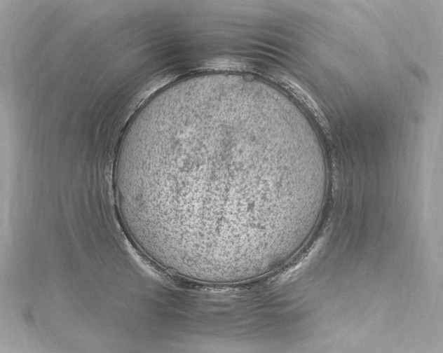 X0000115061041200911161604