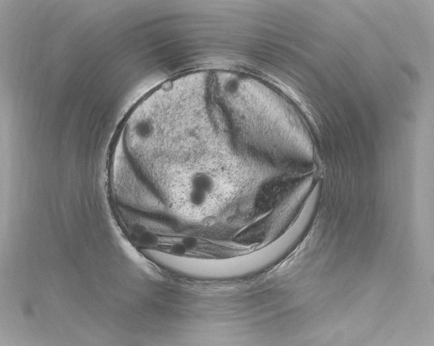 X0000115061042200911161604