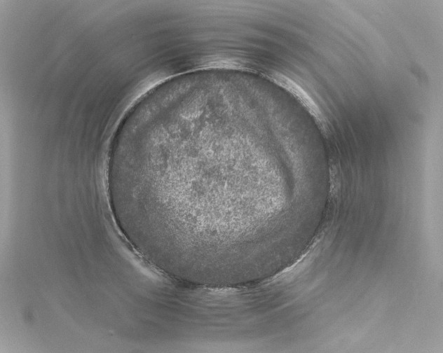 X0000115061043200911161604