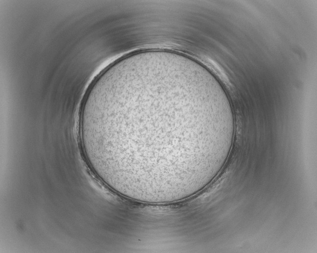 X0000115061044200911161604