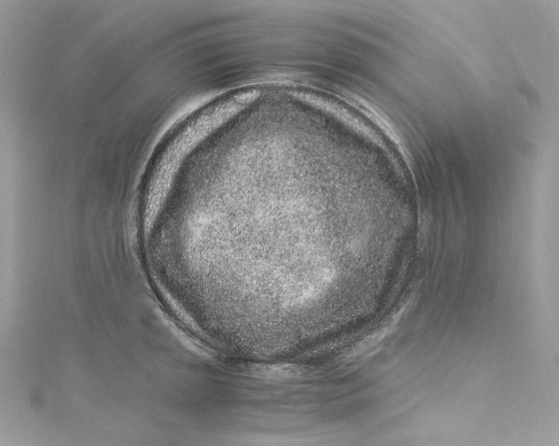 X0000115061045200911161604