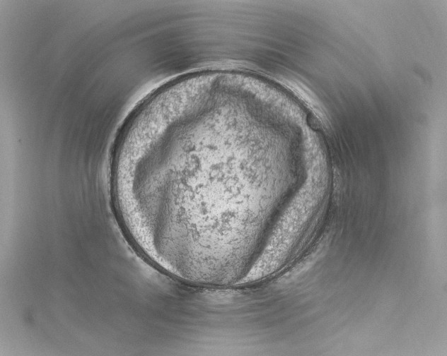 X0000115061046200911161604