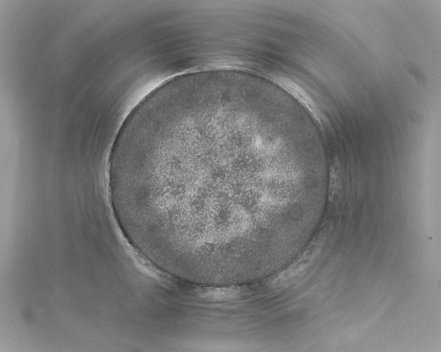 X0000115061047200911161604