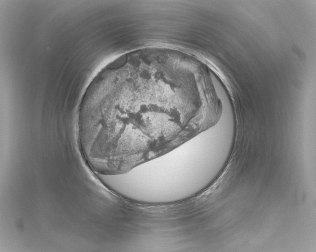 X0000115061048200911161604