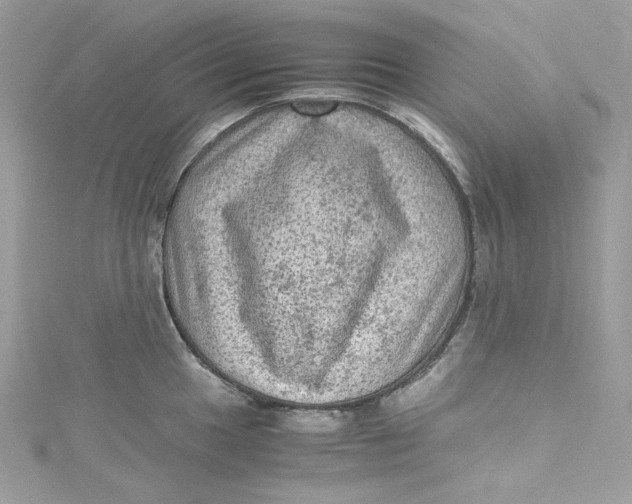 X0000115061049200911161604