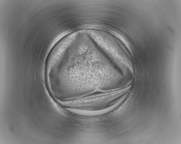 X0000115061050200911161604