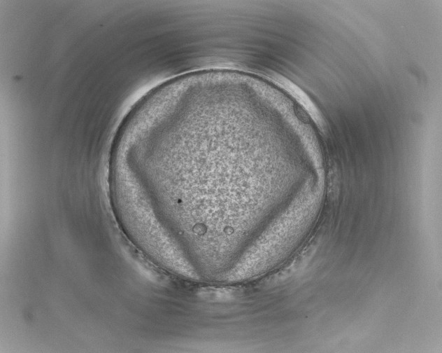 X0000115061051200911161604