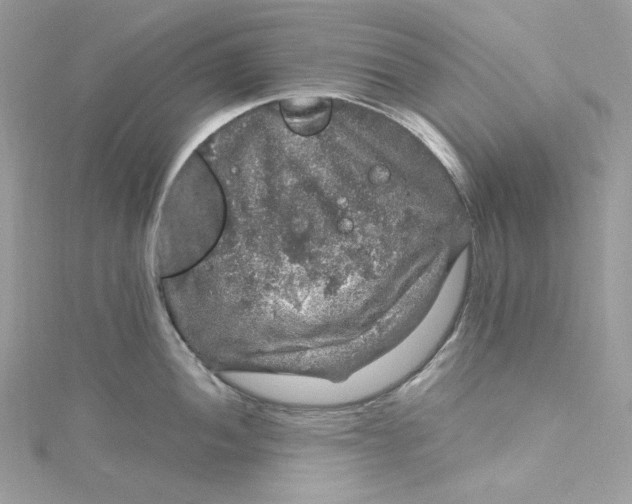 X0000115061052200911161604