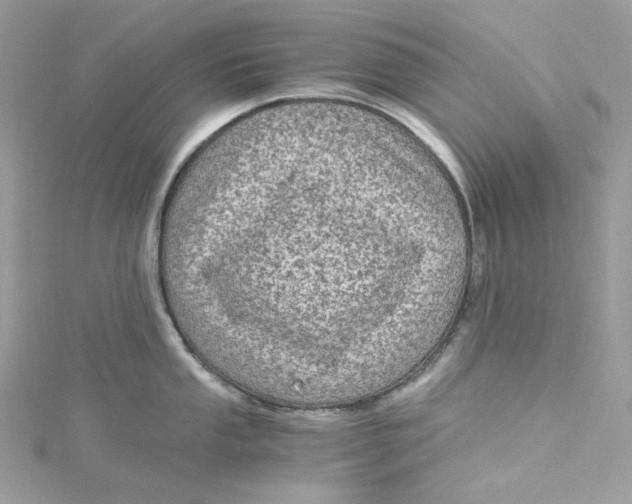 X0000115061053200911161604