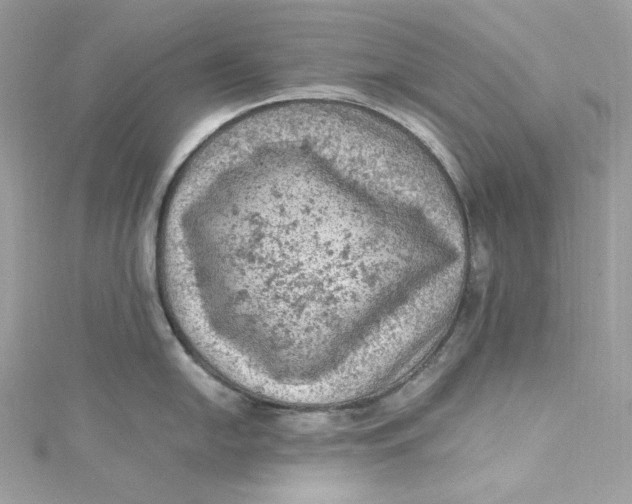 X0000115061054200911161604