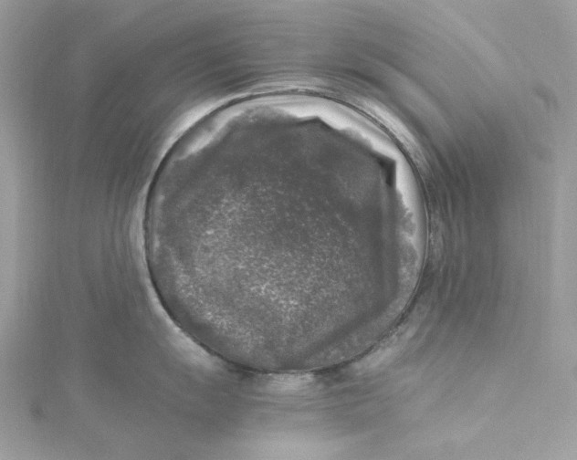 X0000115061055200911161604