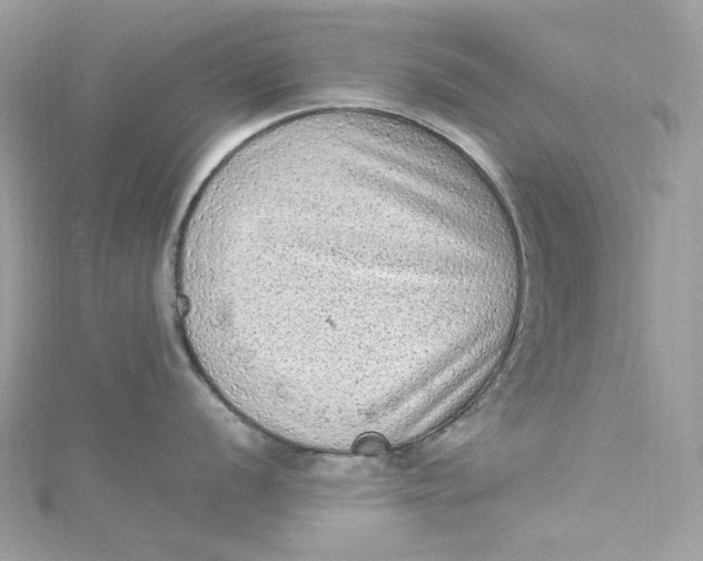 X0000115061056200911161604