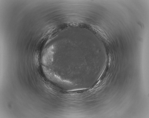 X0000115061060200911161604