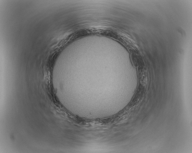 X0000115061061200911161604