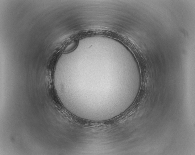 X0000115061062200911161604