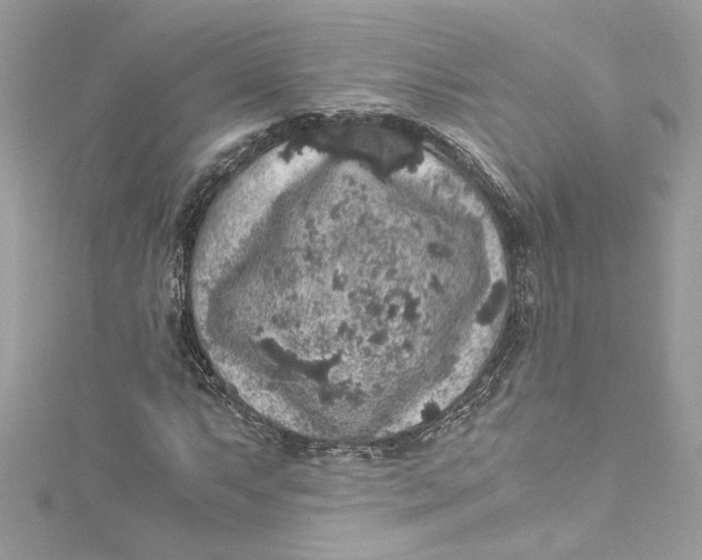 X0000115061063200911161604