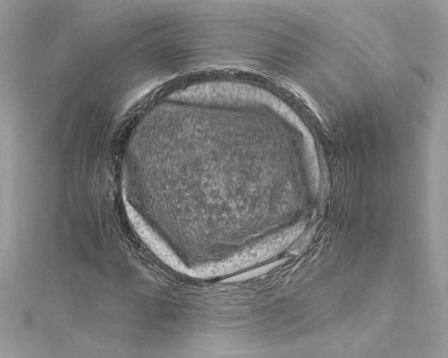 X0000115061064200911161604