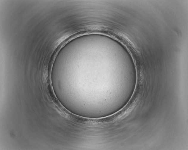 X0000115061065200911161604