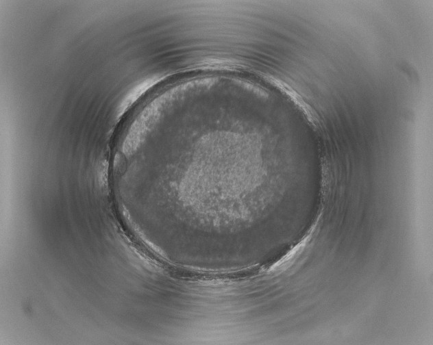 X0000115061066200911161604