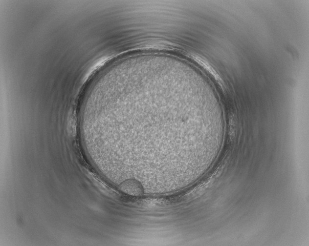 X0000115061067200911161604