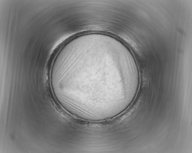 X0000115061070200911161604