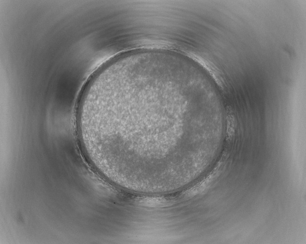 X0000115061074200911161604