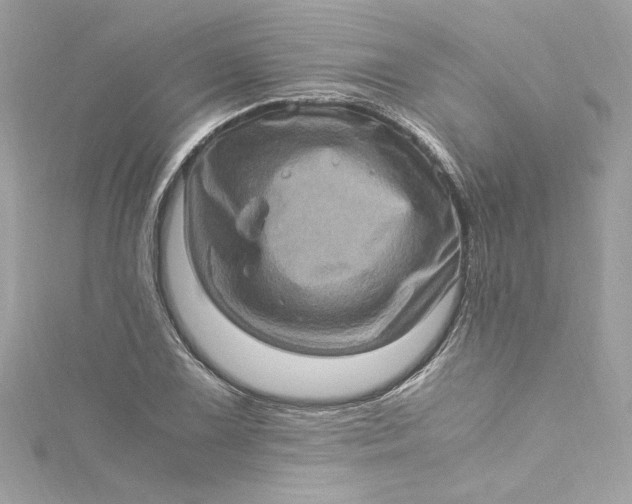 X0000115061075200911161604