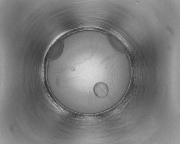 X0000115061076200911161604