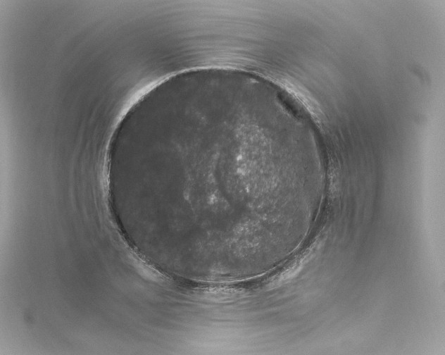 X0000115061077200911161604